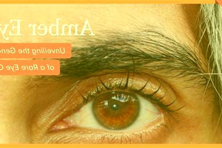 Ella, 32, a black amber-eyed mixed companion based in Chernyanka. Offering Erotic Massage, OWO. Available for incall and outcall, day and evening dates.