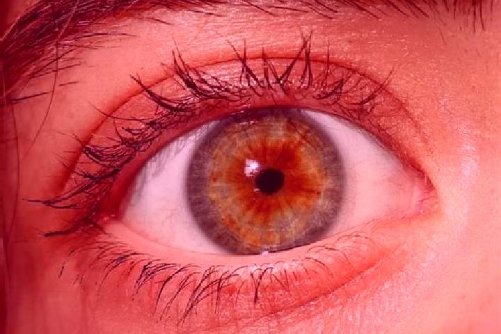 Ella, 32, a red hazel-eyed mediterranean companion based in Polichnitos. Offering GFE, Prostate Massage, Fetish, Domination. Available for incall and outcall...