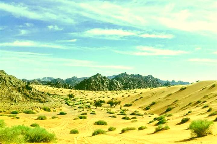 Ella, 32 — Escort in Al Mubarraz, Saudi Arabia