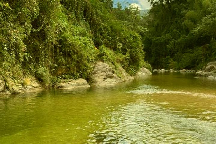 Ella, 32 — Escort in Los Cacaos, Mexico