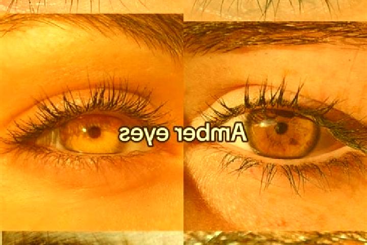 Ella, 33, a chestnut amber-eyed caucasian companion based in Bargarh. Offering BDSM, Tantra, Striptease. Available for incall and outcall, day and evening da...