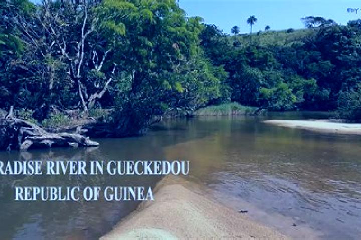 Ella, 33 — Escort in Gueckedou, Guinea