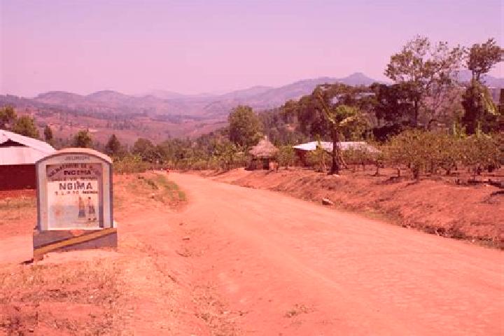 Ella, 33 — Escort in Kigonsera, Tanzania