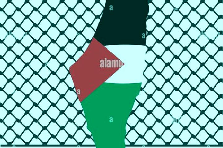 Ella, 34 — Escort in Jiljiliya, Palestine