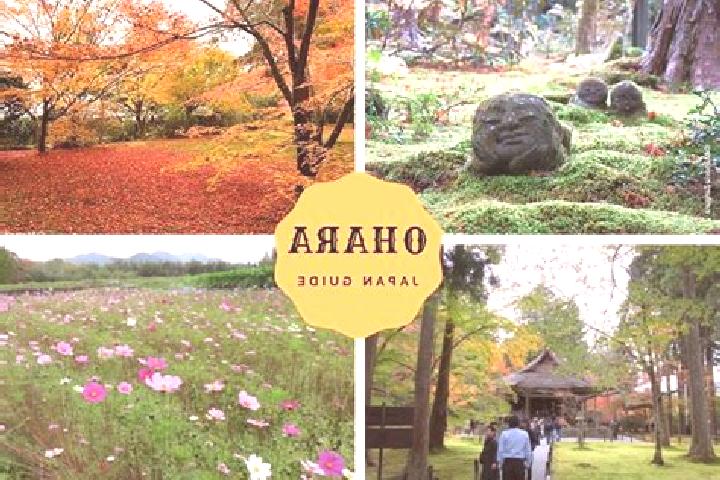 Ella, 34 — Escort in Ohara, Japan