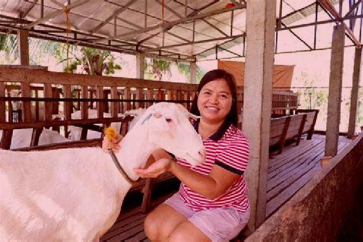 Ella, 34 — Escort in Pidigan, Philippines
