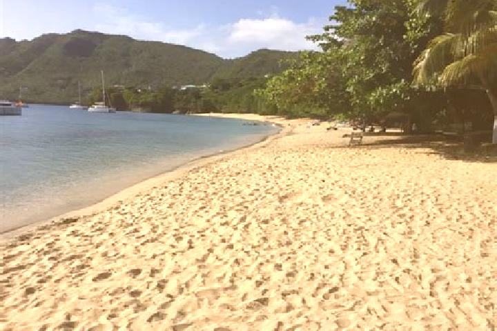 Ella, 35 — Escort in Diamond, Saint Vincent and the Grenadines
