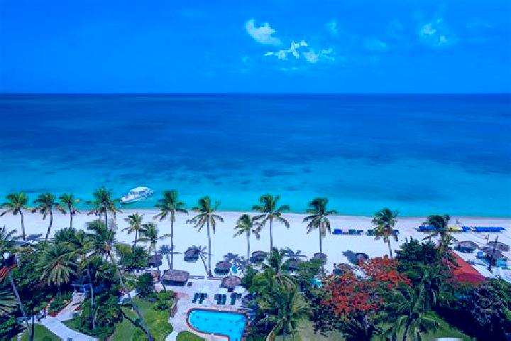Ella, 35 — Escort in Swetes, Antigua and Barbuda