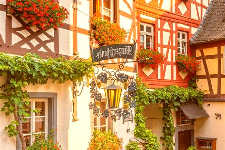 Ella, 36 — Escort in Ellhoft, Germany
