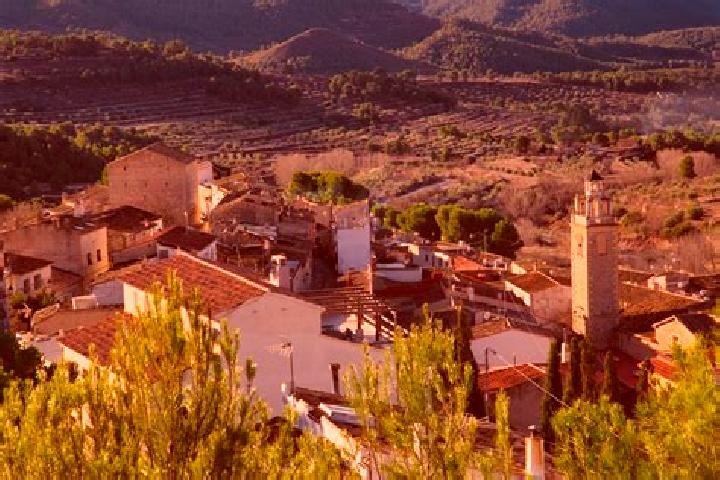 Ella, 36 — Escort in La Torre de les Macanes, Spain