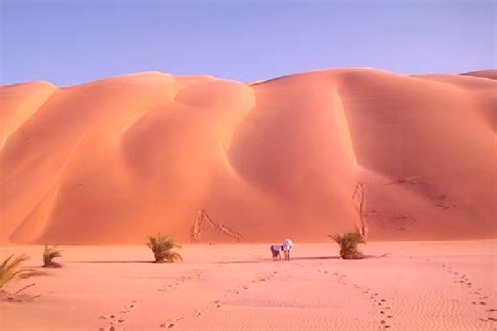 Ella, 36 — Escort in Ouad Naga, Mauritania