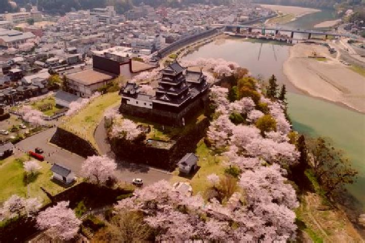 Ella, 36 — Escort in Ozu, Japan