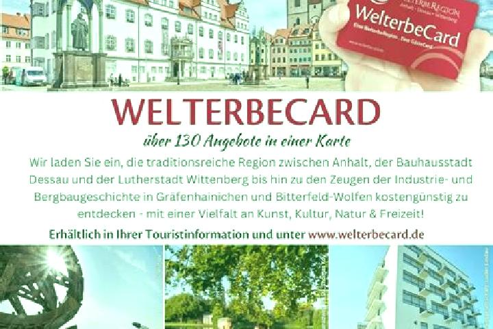 Ella, 36 — Escort in Piesteritz, Germany