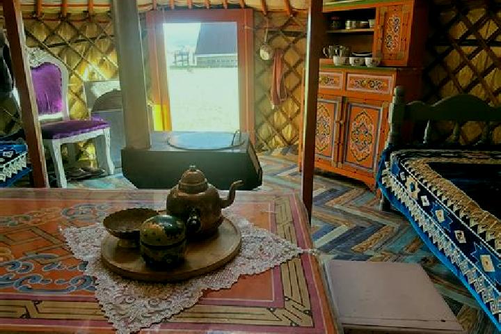 Ella, 36 — Escort in Shaami-Yurt, Russia