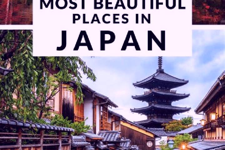 Ella, 36 — Escort in Sugahama, Japan