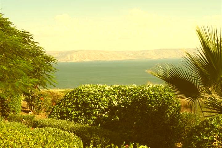 Ella, 36 — Escort in Tiberias, Israel