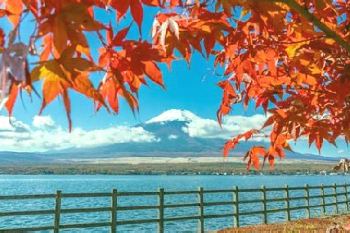 Ella, 36 — Escort in Umejima, Japan