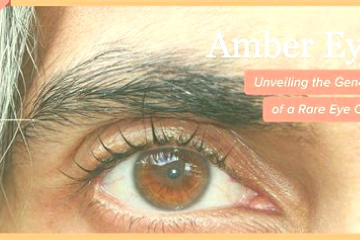 Ella, 37, a red amber-eyed mediterranean companion based in Chacombe. Offering 69, GFE, Overnight. Available for incall and outcall, day and evening dates.
