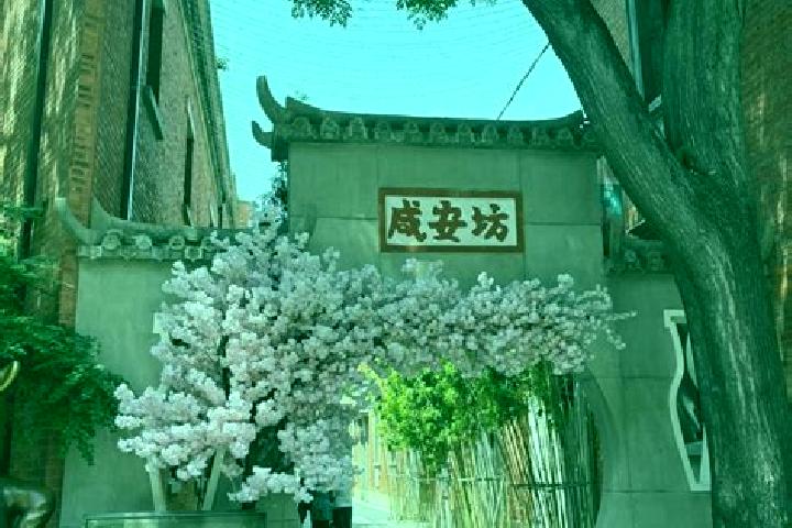 Ella, 37 — Escort in Jiangtan, China