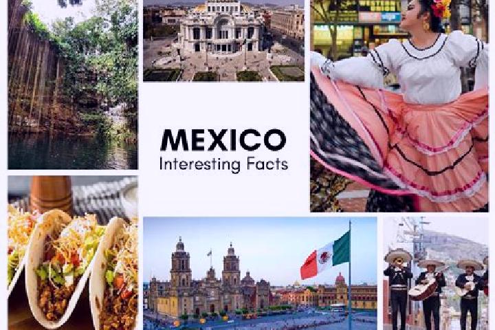 Ella, 37 — Escort in Los Molinos, Mexico