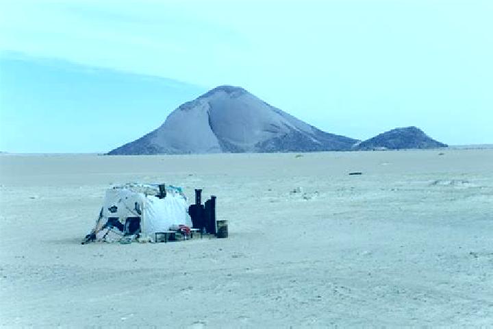 Ella, 37 — Escort in Tembedgha, Mauritania