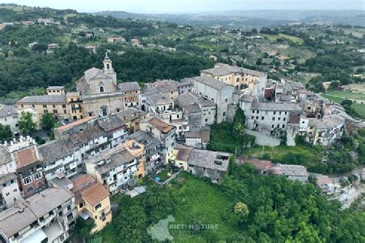 Ella, 38 — Escort in Albuzzano, Italy