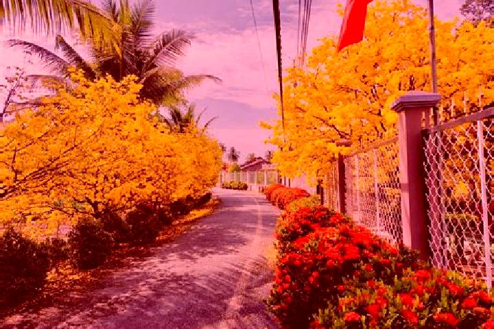 Ella, 38 — Escort in Hoa Vang, Vietnam