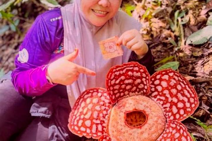 Ella, 38 — Escort in Kampung Bongor, Malaysia