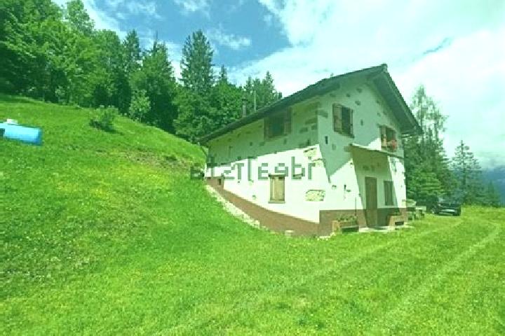 Ella, 38 — Escort in Laggio di Cadore, Italy