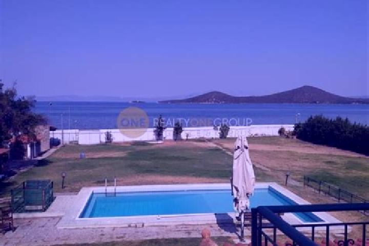 Ella, 38 — Escort in Livanates, Greece