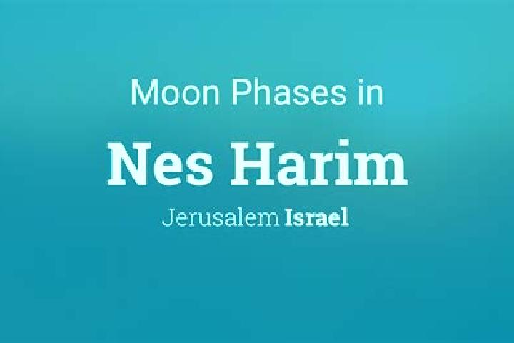 Ella, 38 — Escort in Nes Harim, Israel
