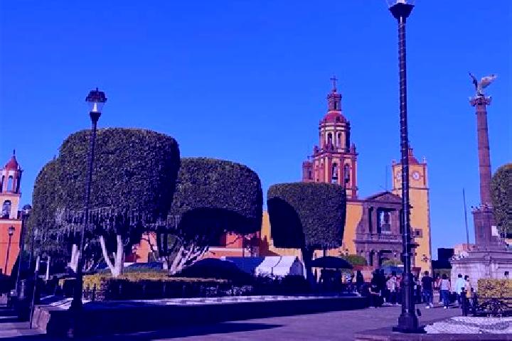 Ella, 38 — Escort in Plan del Rio, Mexico
