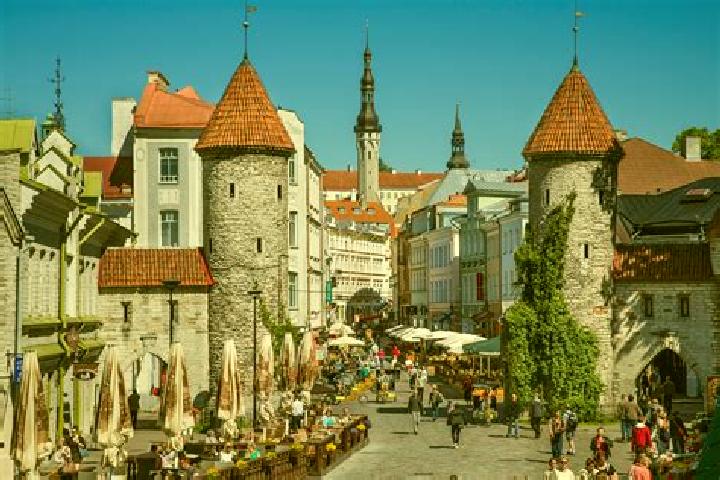 Ella, 38 — Escort in Tallinn, Estonia
