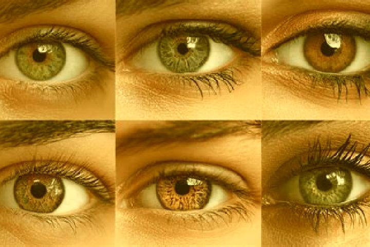 Ella, 39, a red hazel-eyed middle eastern companion based in Siekro. Offering Tantra, Couples, Striptease, Domination. Available for incall and outcall, day ...