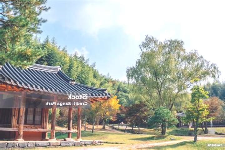 Ella, 39 — Escort in Damyang, South Korea