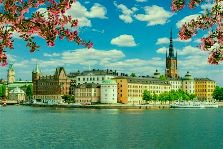 Ella, 39 — Escort in Holm, Sweden