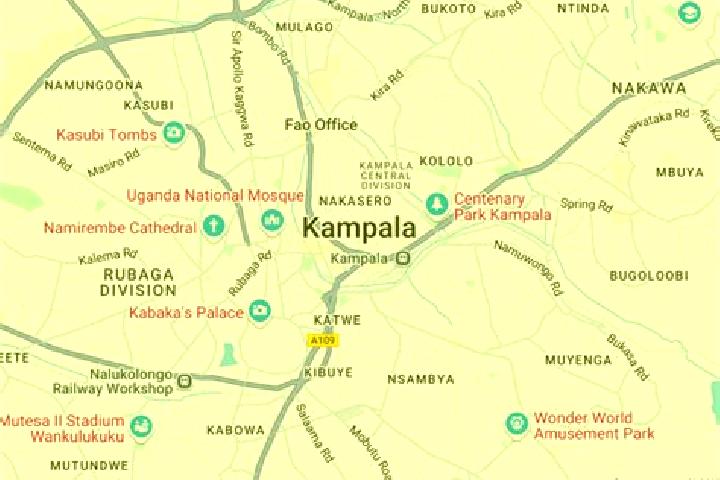 Ella, 39 — Escort in Kampala Central Division, Uganda