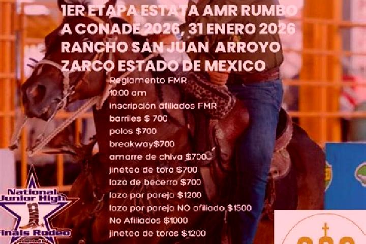 Ella, 39 — Escort in Rodeo Arroyo Pepesca, Mexico