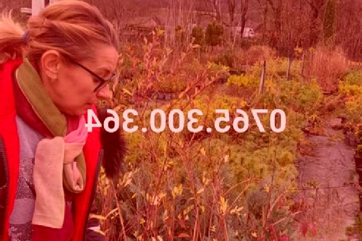 Ella, 39 — Escort in Rugasesti, Romania