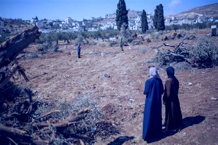 Ellie, 20 — Escort in Al Mughayyir, Palestine