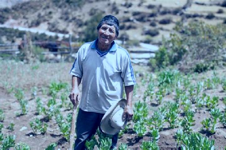 Ellie, 20 — Escort in Jarpa, Peru