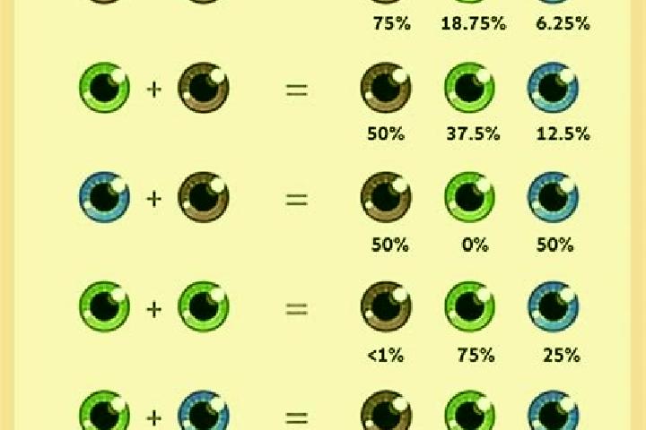 Ellie, 21, a black blue-eyed caribbean companion based in Paobokol. Offering Overnight, GFE, Party Girl. Available for incall and outcall, overnight bookings...