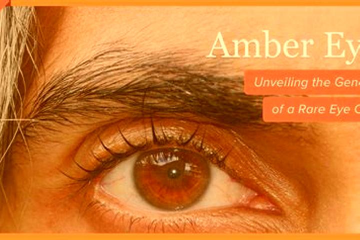 Ellie, 21, a red amber-eyed caucasian companion based in Comillas Norte. Offering OWO, CIM, 69. Available for incall and outcall, day and evening dates.