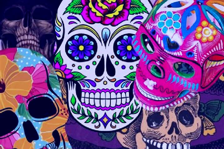 Ellie, 21 — Escort in Barrio Primero (La Calavera), Mexico