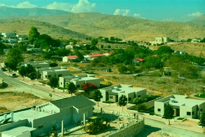 Ellie, 21 — Escort in Bet Arye, Palestine