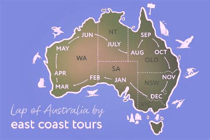 Ellie, 21 — Escort in Candelo, Australia