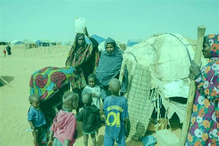 Ellie, 21 — Escort in Mbera, Mauritania