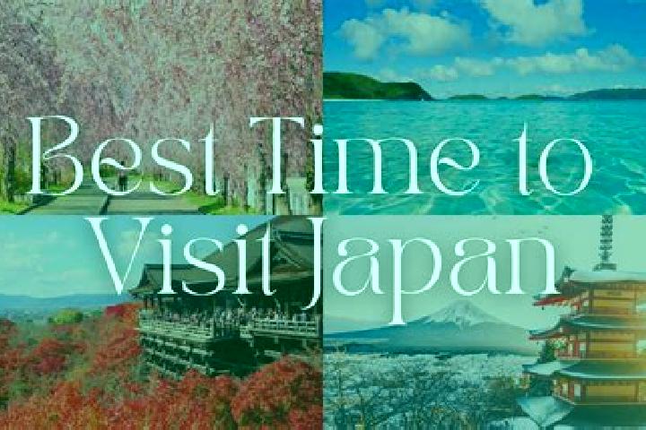 Ellie, 21 — Escort in Miyahara, Japan