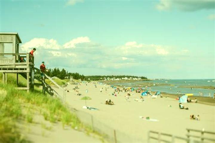 Ellie, 21 — Escort in Point de Bute, Canada