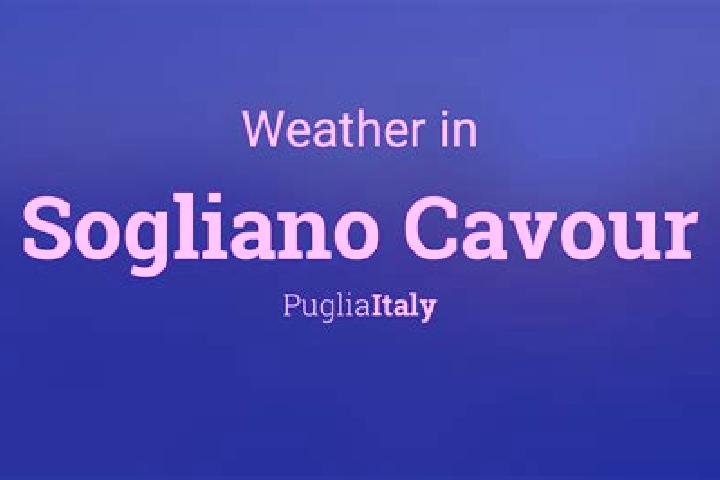 Ellie, 21 — Escort in Sogliano Cavour, Italy